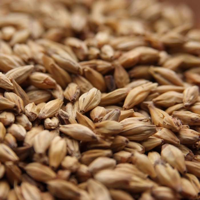 Weyermann PILSNER MALT 10LB MWEY7003 - Image 7