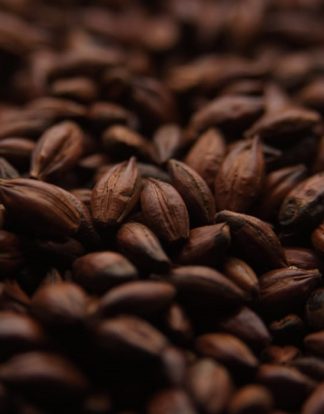CHOCOLATE Malt from Crisp Malting 1lb Unmilled