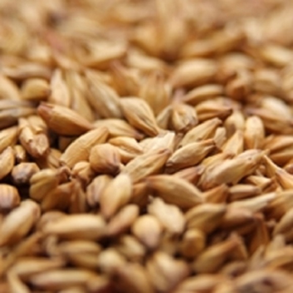 Briess GOLDPILS VIENNA Malt 3.5L 1 Pound Uncrushed 2-Row Base Malt