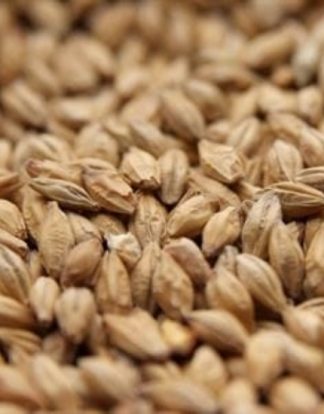 10LB FM BOH BOHEMIAN PILSNER Weyermann Floor-Malted Czech Heirloom Uncrushed MWEY7010
