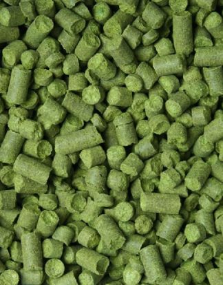 Apollo Hop Pellets US 1oz