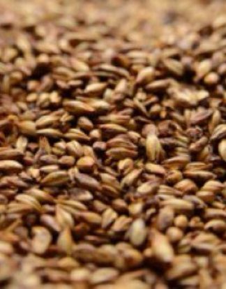 Briess CARAMEL MALT 80L 1lb Uncrushed LDC 1929A