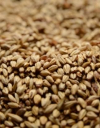Briess CARAMEL MALT 20L 10lb Uncrushed