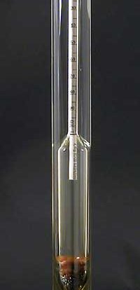 GLASS BASE 12″ HYDROMETER TEST JAR for MOST Triple Scale Beer Wine and Proof Tralle Hard Liquor Hydrometers