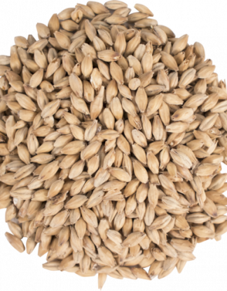 SIMPSONS GOLDEN PROMISE 10LB Unique Specialty Malt