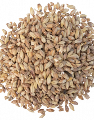 Briess BONLANDER MUNICH Malt 10L 10 Pound Uncrushed 2-Row Base Malt