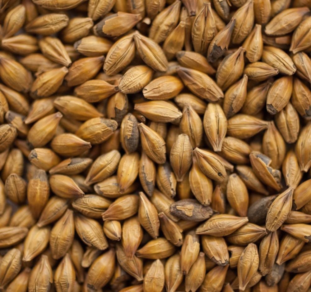 Bairds BRITISH CRYSTAL 50/60L Malt - 1 Pound Uncrushed