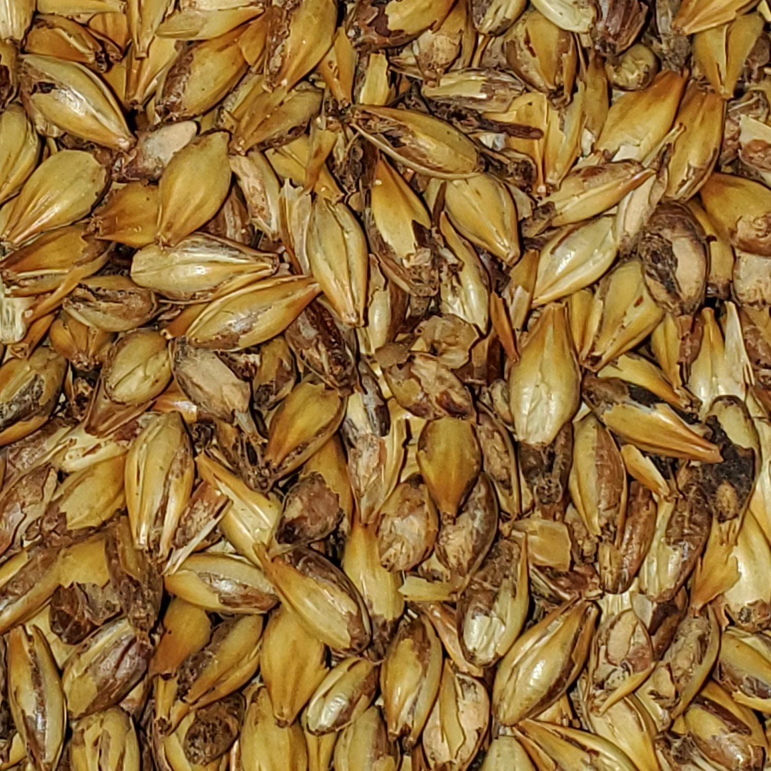 Briess CARAMEL MALT 90L 1lb Uncrushed LDC 1918A