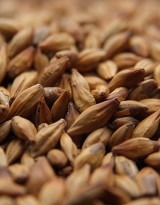 Weyermann Caramunich Type I Malt 1 LB Unmilled Caramel Malt