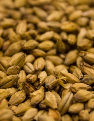 SPECIAL ORDER Weyermann /// BARKE /// VIENNA Malt - 55 LB Sack Uncrushed Terroir and Heirloom Aroma variety