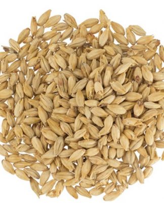 Dingemans BELGIAN PALE ALE MALT Malt 5lb Uncrushed Belgian Mouterij 2-Row GR330E