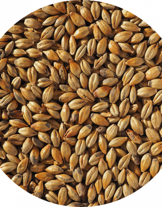DISCONTINUED 10LB William Crisp AMBER English Biscuit Malt MCRI7052