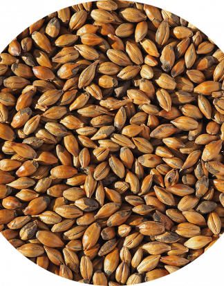 DISCONTINUED ENGLISH BROWN MALT 1LB Milled from William Crisp (French & Jupps) GR596CM