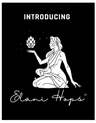 NEW RELEASE Wild Northern Idaho HOPS ELANI YQH-1320 1oz Hop Pellets BSG HYQ1001Z from Yakima Quality Hops for homebrewing West Coast IPA Hazy IPA and Pale Ale