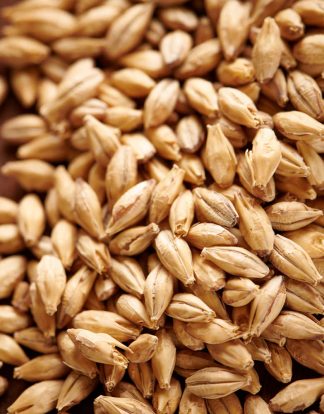 1LB Weyermann CARAFOAM Malt from Germany - A specialty malt from Weyermann that adds body foam retention and beer stability