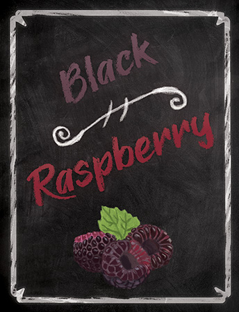 WINE BOTTLE LABELS Pack of 30 BLACK RASPBERRY 'Silver Frame' Design Red Wine Self-Adhesive Easy Peel - Image 2