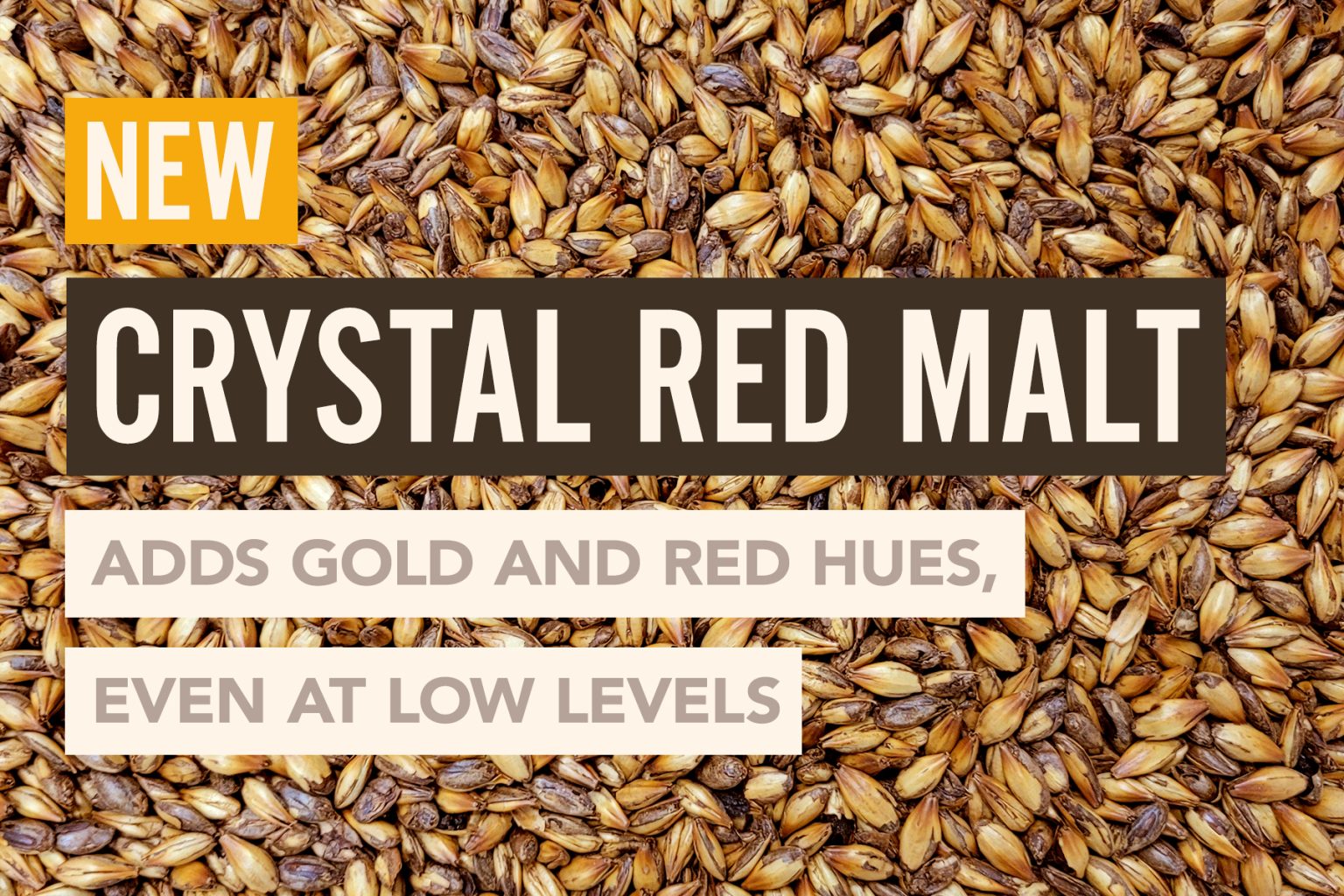 Briess CRYSTAL RED MALT 1LB 150L Drum Roasted Caramel Malt - Image 2