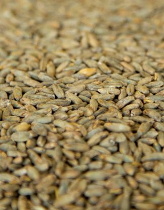 10LB Gambrinus Canadian RYE MALT Whole Grain Uncrushed
