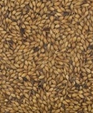 1LB SIMPSONS DRC Double Roasted Crystal Unique Dark Caramel Specialty Malt for English Strong Ales Browns Stouts Porters Abbeys