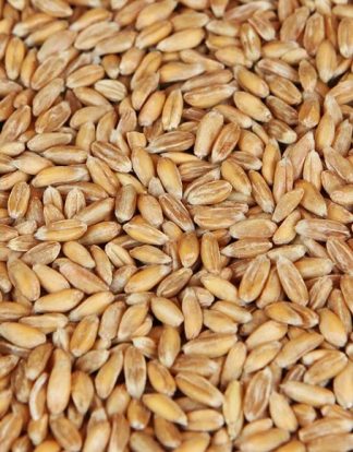 5LB SPELT AROMA MALT Weyermann DINKELMALZ Unmilled Ancient Variety Bavarian Malted Wheat for Weissbier