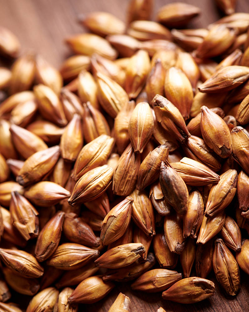 AROMA MALT 10LB Weyermann CARAAROMA® Specialty Malt Unmilled Drum Roasted Caramel Barley Malt MWEY7063 - Image 2