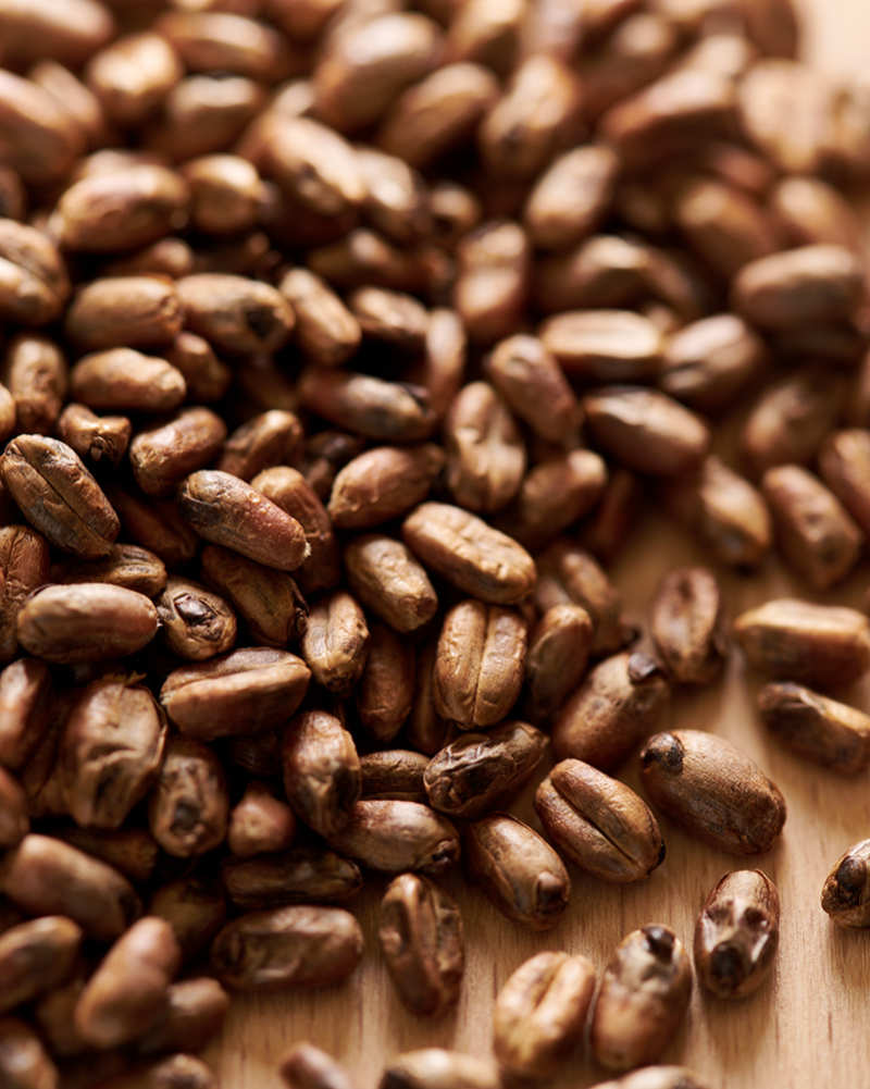 10LB CARAMEL WHEAT MALT Weyermann CARAWHEAT® Crystal/Caramel Specialty Malt Unmilled MWEY7034 - Image 6
