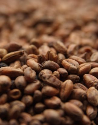 10LB CARAMEL WHEAT MALT Weyermann CARAWHEAT® Crystal/Caramel Specialty Malt Unmilled MWEY7034