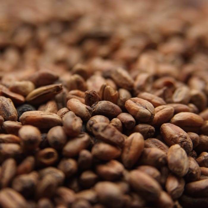 10LB CARAMEL WHEAT MALT Weyermann CARAWHEAT® Crystal/Caramel Specialty Malt Unmilled MWEY7034