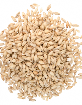 5LB BRIESS 2-Row Brewers Base Malt - Uncrushed